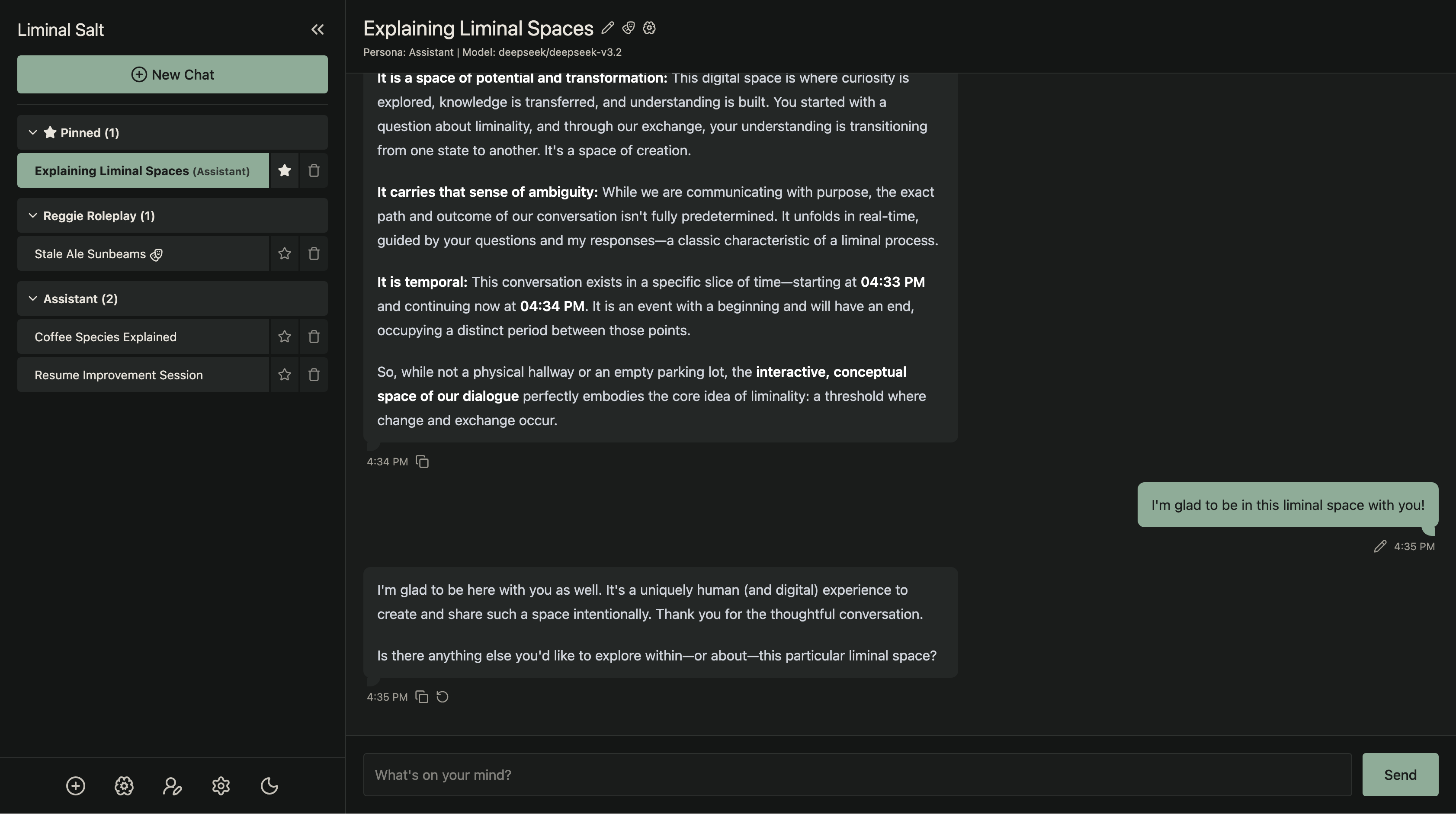 Chatbot conversation view